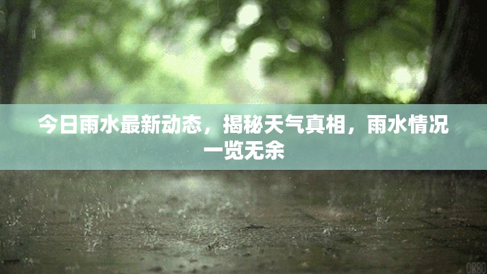 今日雨水最新动态，揭秘天气真相，雨水情况一览无余