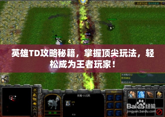 英雄TD攻略秘籍，掌握顶尖玩法，轻松成为王者玩家！