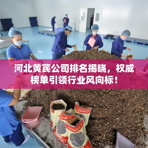 河北黄芪公司排名揭晓，权威榜单引领行业风向标！