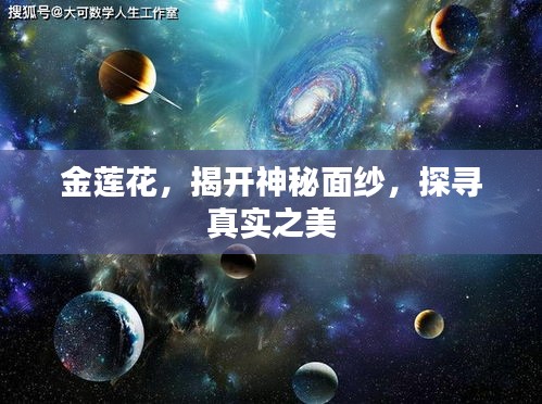 金莲花，揭开神秘面纱，探寻真实之美