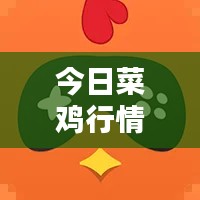 今日菜鸡行情大揭秘，最新消息一网打尽！