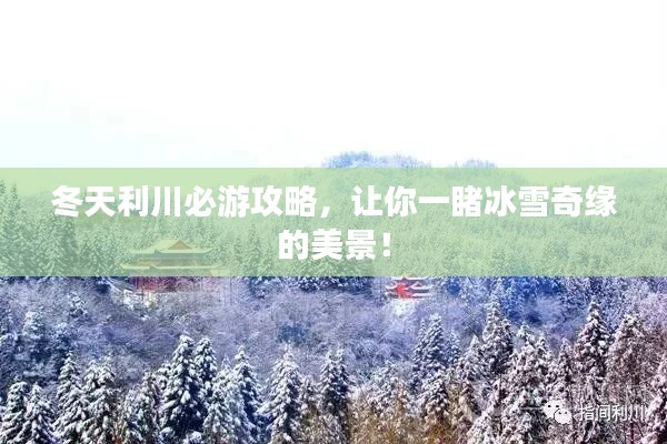 冬天利川必游攻略，让你一睹冰雪奇缘的美景！