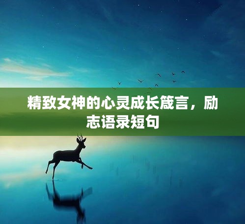 精致女神的心灵成长箴言，励志语录短句