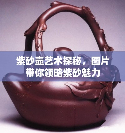 如花似玉 第2页