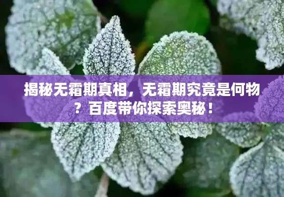 揭秘无霜期真相，无霜期究竟是何物？百度带你探索奥秘！