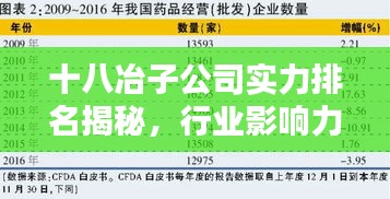 十八冶子公司实力排名揭秘，行业影响力深度解析