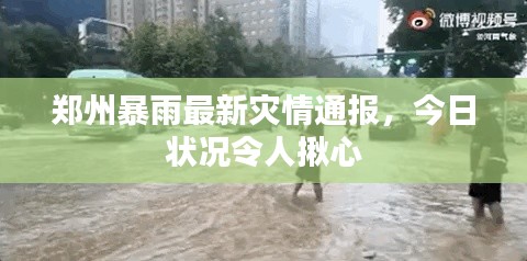 郑州暴雨最新灾情通报，今日状况令人揪心