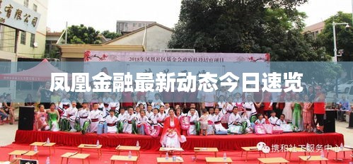 凤凰金融最新动态今日速览
