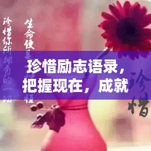 珍惜励志语录，把握现在，成就辉煌未来