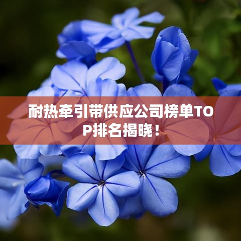 耐热牵引带供应公司榜单TOP排名揭晓！