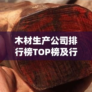 木材生产公司排行榜TOP榜及行业影响力深度解析