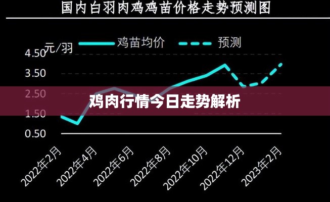 鸡肉行情今日走势解析