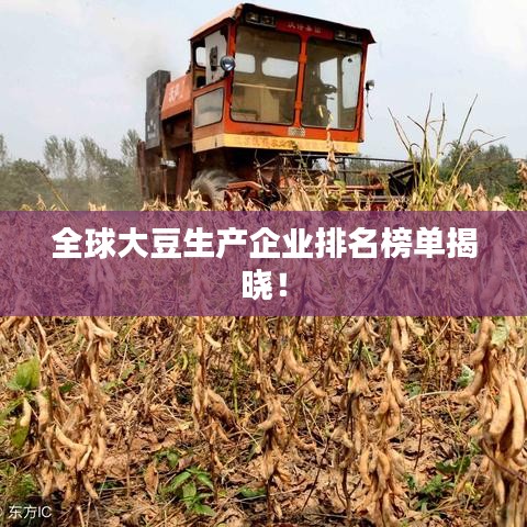 全球大豆生产企业排名榜单揭晓！