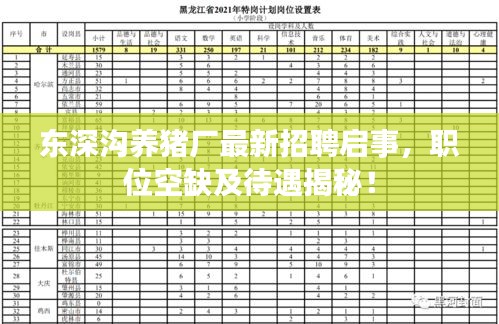 东深沟养猪厂最新招聘启事，职位空缺及待遇揭秘！