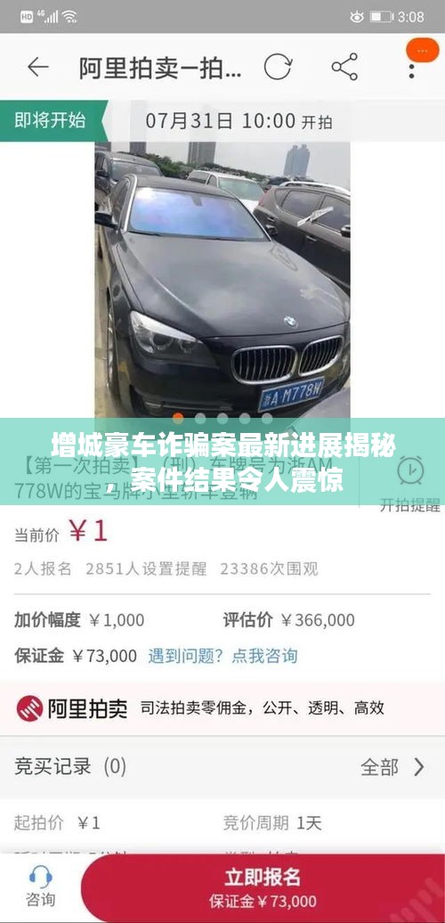 增城豪车诈骗案最新进展揭秘，案件结果令人震惊
