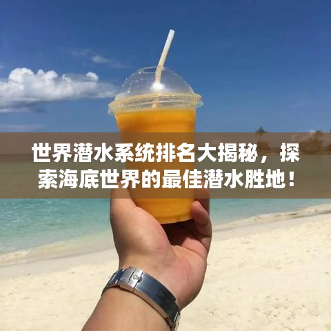 手不释卷 第2页