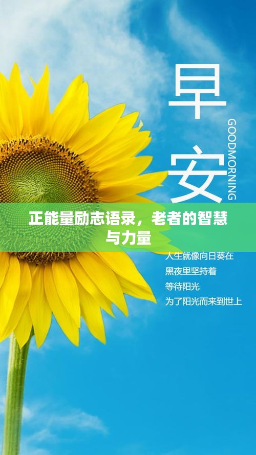 正能量励志语录，老者的智慧与力量