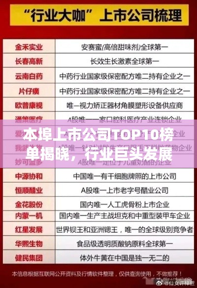 本埠上市公司TOP10榜单揭晓，行业巨头发展之路揭秘