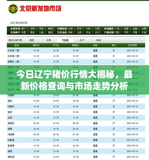 今日辽宁猪价行情大揭秘，最新价格查询与市场走势分析