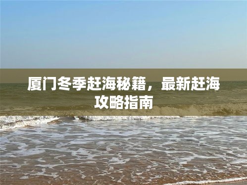 厦门冬季赶海秘籍，最新赶海攻略指南