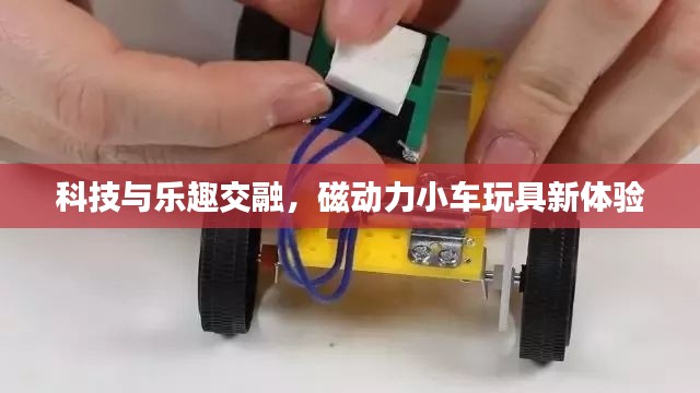 科技与乐趣交融，磁动力小车玩具新体验