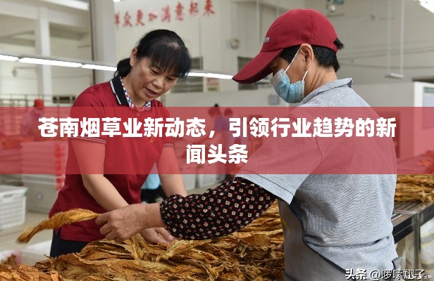 苍南烟草业新动态，引领行业趋势的新闻头条