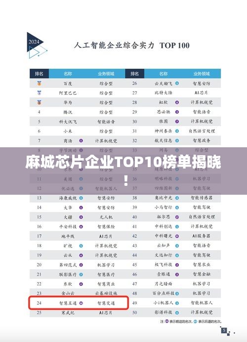 麻城芯片企业TOP10榜单揭晓！