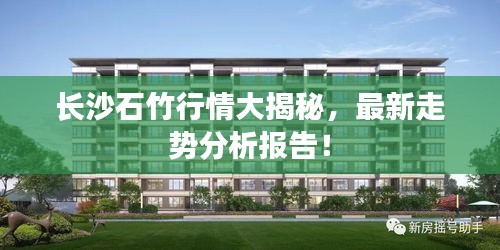 长沙石竹行情大揭秘，最新走势分析报告！