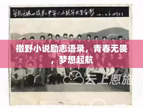 撒野小说励志语录，青春无畏，梦想起航