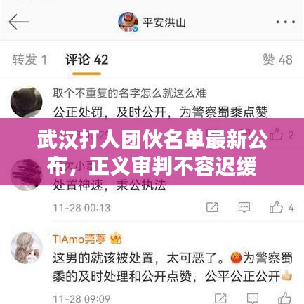 武汉打人团伙名单最新公布，正义审判不容迟缓