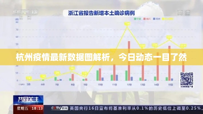 杭州疫情最新数据图解析，今日动态一目了然