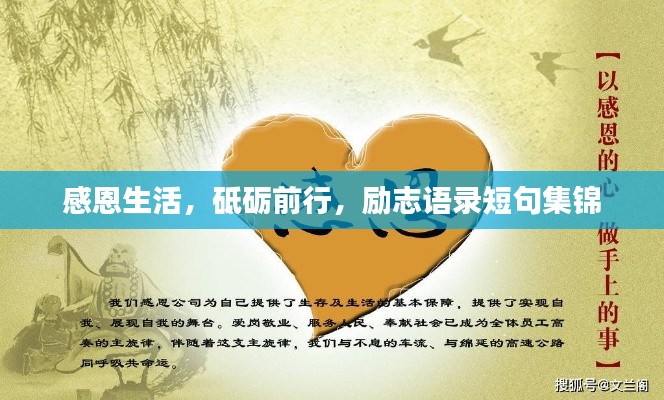 感恩生活，砥砺前行，励志语录短句集锦