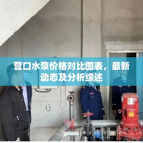营口水泵价格对比图表，最新动态及分析综述
