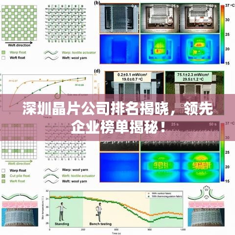 深圳晶片公司排名揭晓，领先企业榜单揭秘！