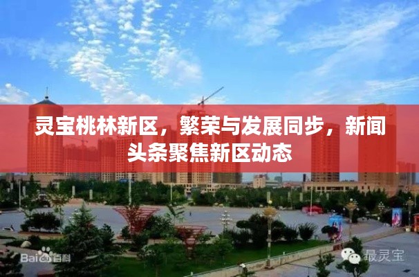 灵宝桃林新区，繁荣与发展同步，新闻头条聚焦新区动态