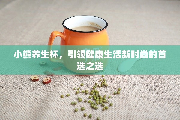 小熊养生杯，引领健康生活新时尚的首选之选