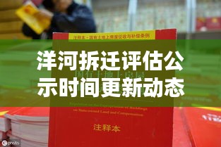 一花独放 第2页
