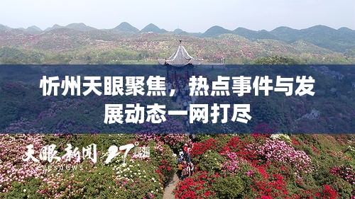 物稀为贵 第2页