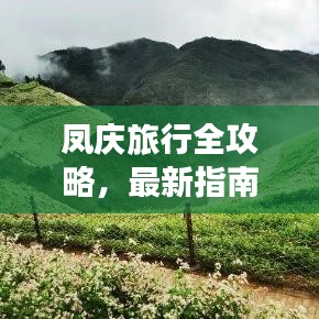 为民请命 第2页