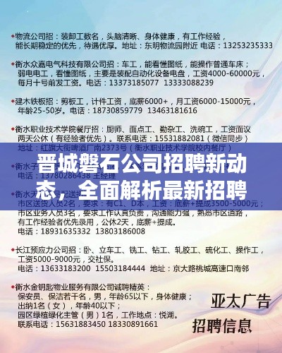尽心竭力 第2页