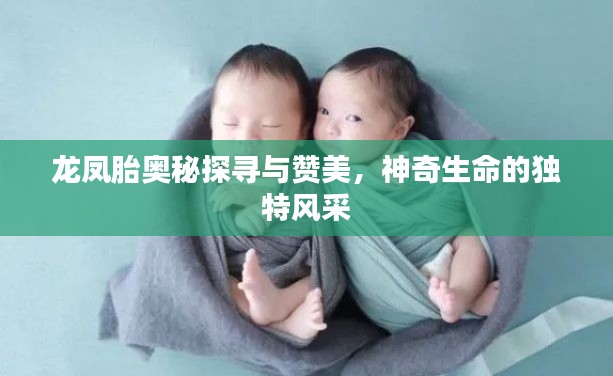 听见风就是雨 第2页