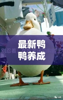 都中纸贵 第2页