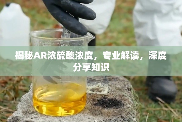 揭秘AR浓硫酸浓度，专业解读，深度分享知识