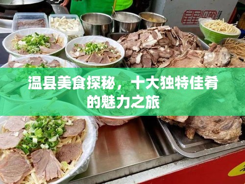 温县美食探秘，十大独特佳肴的魅力之旅