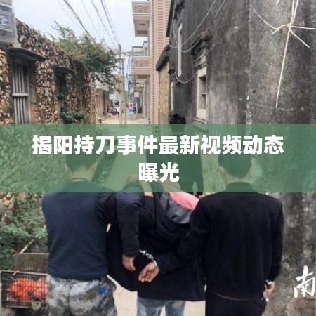 雅人深致 第2页