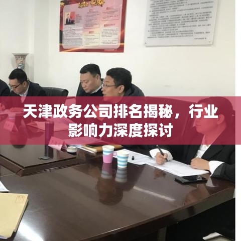 天津政务公司排名揭秘，行业影响力深度探讨