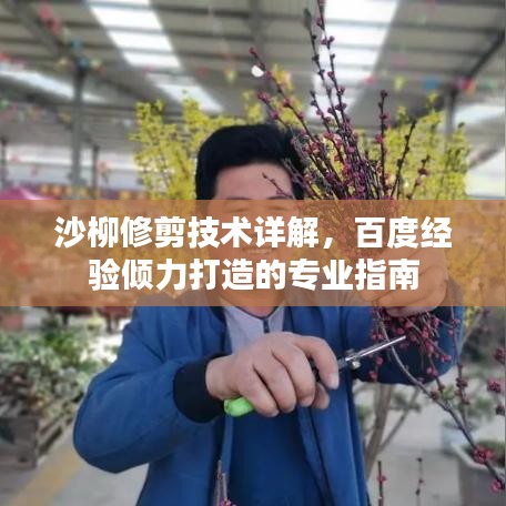 沙柳修剪技术详解，百度经验倾力打造的专业指南