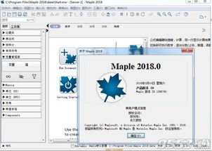 3l打字官方下载,深入执行数据方案_超值版_v1.241