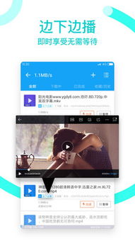手机迅雷播放器老版本，可靠计划执行策略_开发版_v9.169，办公软件的效能与优势解析