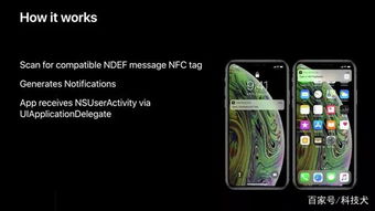 iphone怎么看什么版本,数据解析支持策略_专业版_v5.798